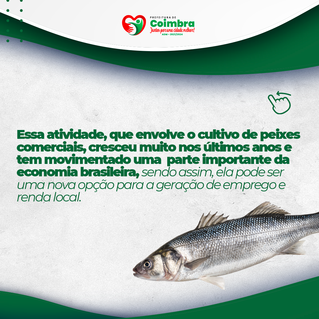 Peixes_03.png