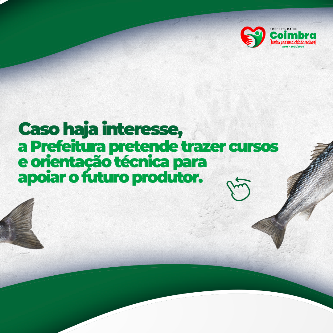 Peixes_04.png
