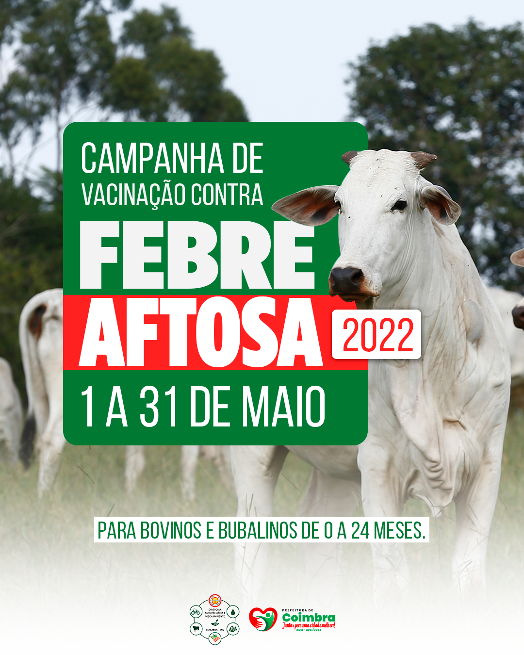AGROPECUÁRIA