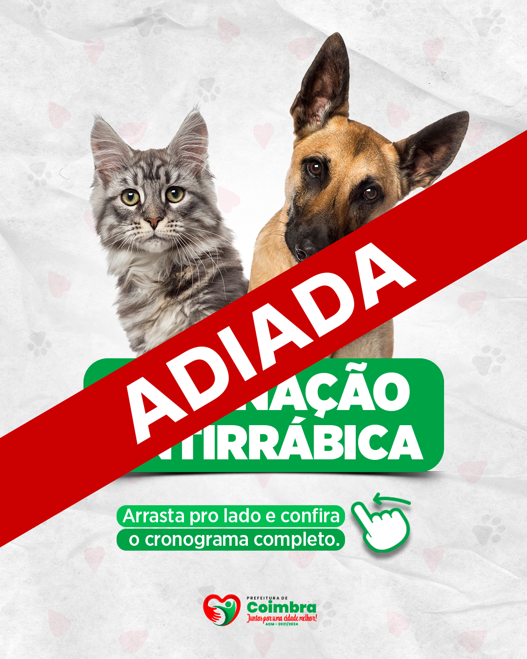 SAÚDE