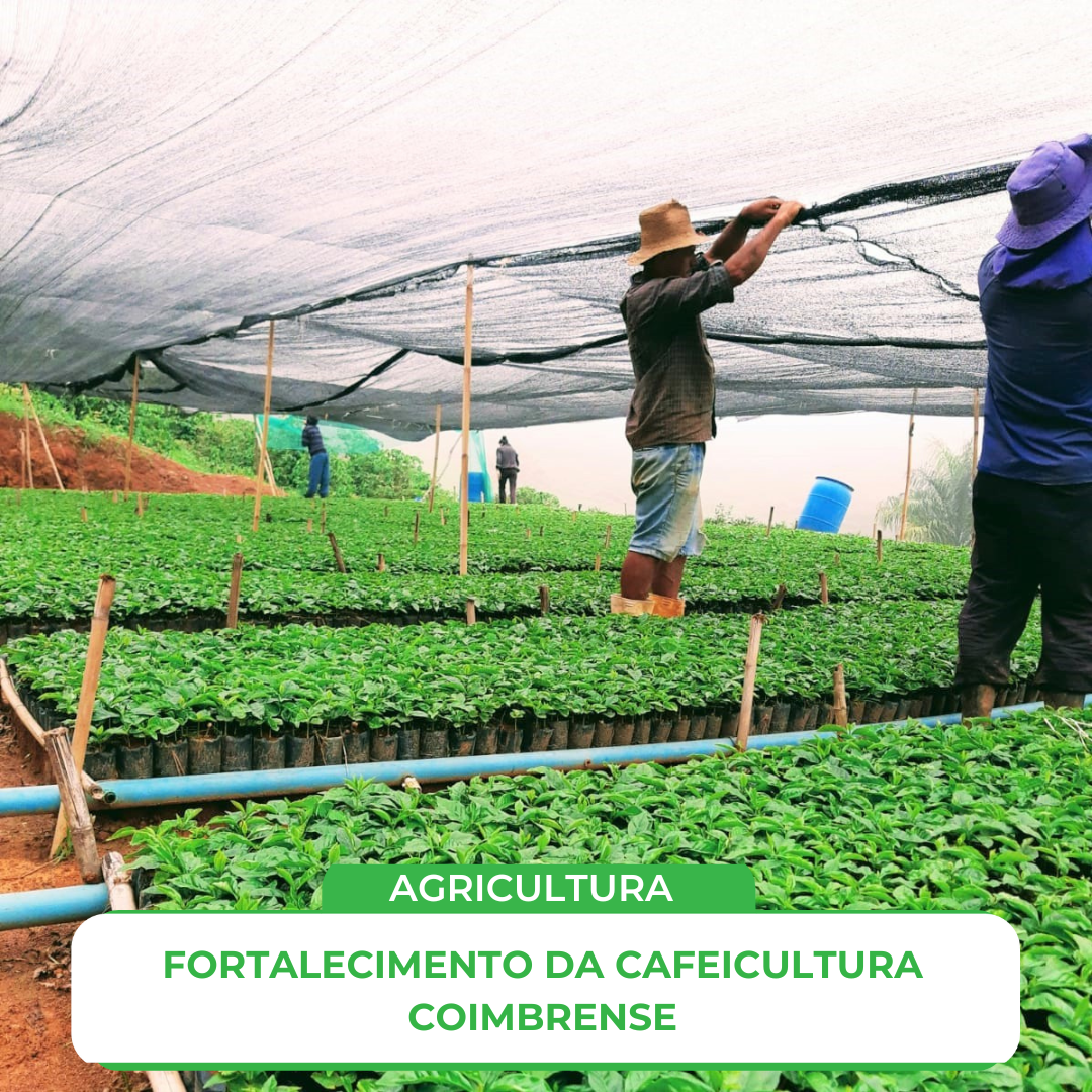 AGRICULTURA