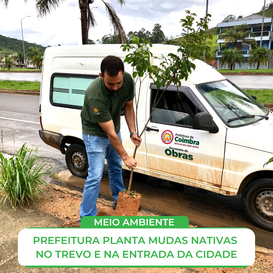 MEIO AMBIENTE