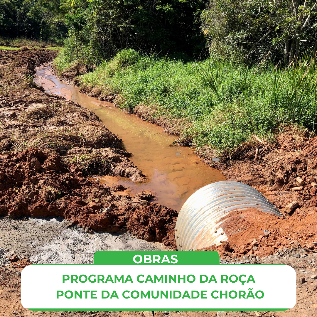 CAMINHO DA ROÇA