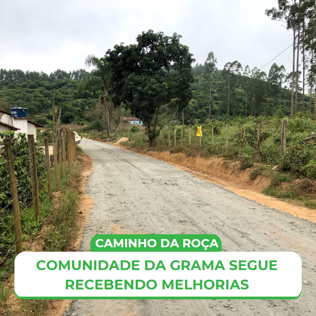 CAMINHO DA ROÇA