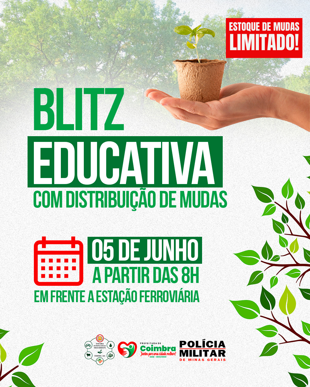 MEIO AMBIENTE