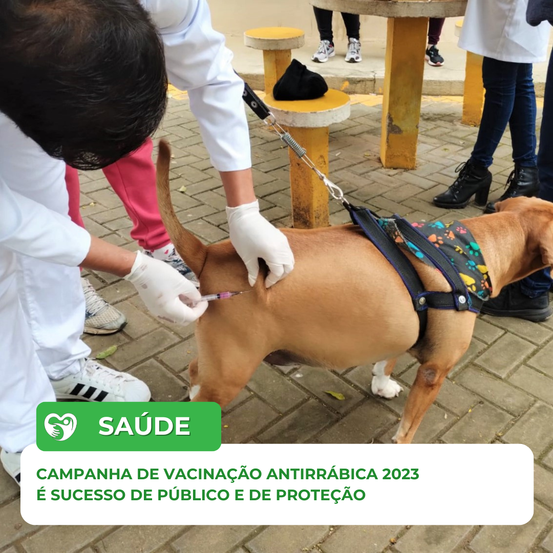 SAÚDE