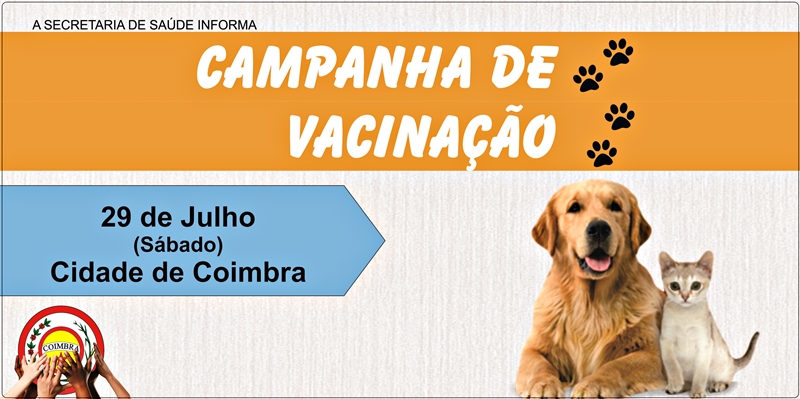 29 - Cidade de Coimbra - Site