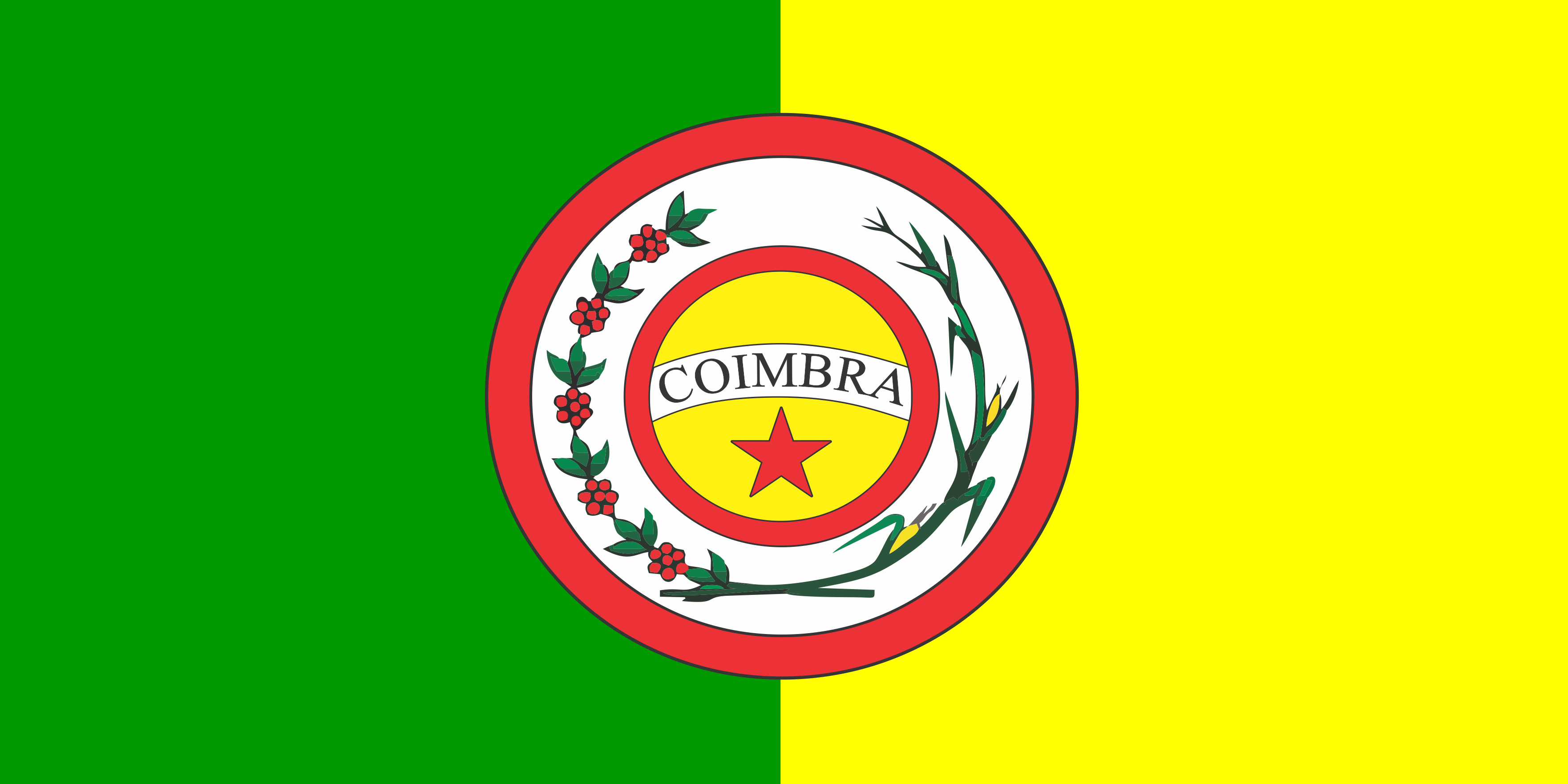 Conheça o significado da bandeira de Coimbra