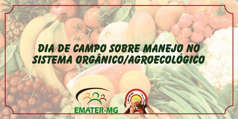 Dia De Campo Sobre Manejo no Sistema Orgânico/Agroecológico